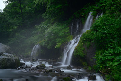 Scenic view of waterfall in forest