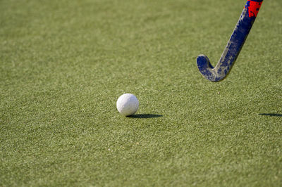 Golf club and ball on playing field