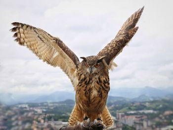 Close-up of portrait of eagle owl flying against cloudy sky