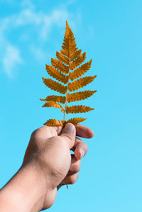 Close-up of hand holding ice cream against blue background