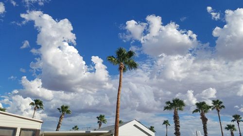 Low angle view of coconut palm trees against cloudy sky