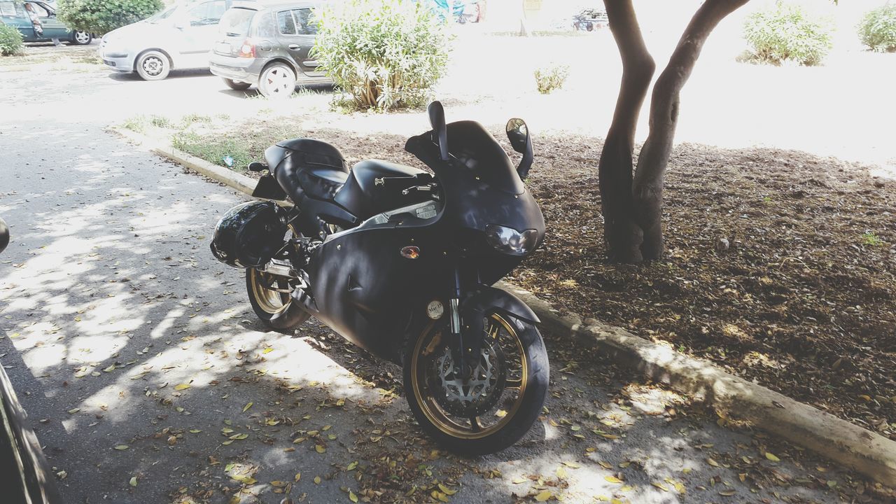 land vehicle, bicycle, transportation, mode of transport, street, stationary, parking, riding, car, road, parked, motorcycle, shadow, sunlight, domestic animals, outdoors, tree, full length, day, side view