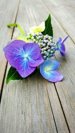 Close-up of flowers on floorboard