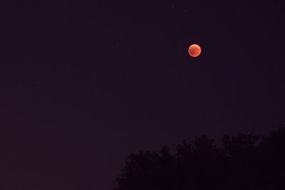 Low angle view of moon against sky at night