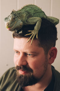 Close-up of man with chameleon on his head at home