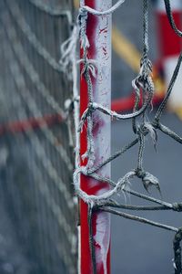 Close-up of icicles hanging on rope