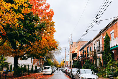 Cars parked on street in city during autumn