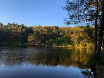 Scenic view of lake in forest against clear sky