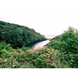 Scenic view of landscape against clear sky