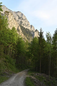 Road amidst trees and mountains against sky