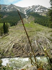 Scenic view of river by mountains against sky