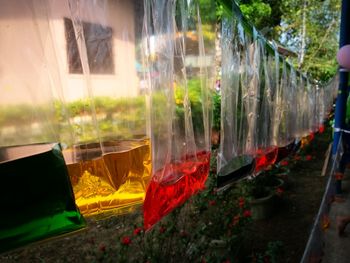 Close-up of colorful window