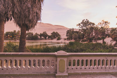 View of concrete railing in front of desert oasis