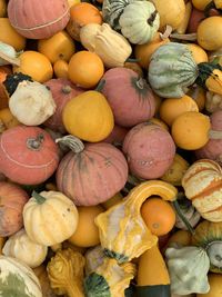 High angle view of pumpkins for sale at market stall