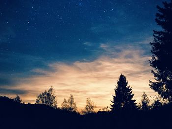 Low angle view of silhouette trees against sky at night