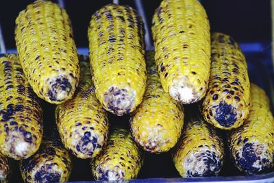 Close-up of roasted sweetcorns at market