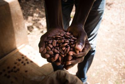 Low section of man holding cacao beans