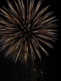 Low angle view of firework display at night