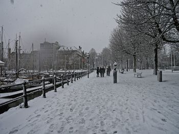 Panoramic view of snow covered trees in city