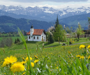 Scenic view of grassy field by houses and mountains