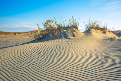 Sand dune in desert against blue sky