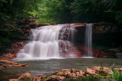 Scenic view of waterfall in forest