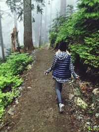 Rear view of woman walking in forest