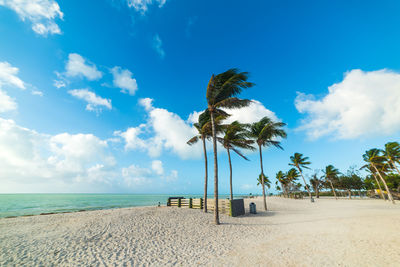 Palm trees on beach against sky