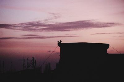 Silhouette bird perching on built structure against sky