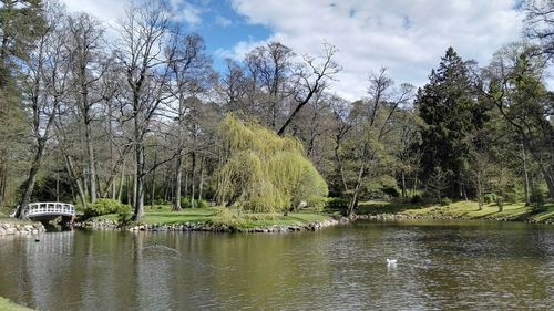 tranquil scene