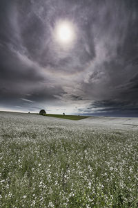 Scenic view of grassy field against cloudy sky