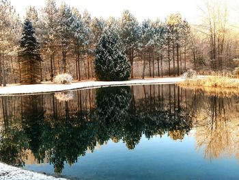 Reflection of trees in lake against sky