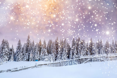 Trees on snow covered land against sky