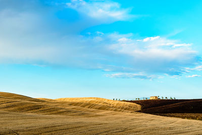 Scenic view of agricultural field against sky