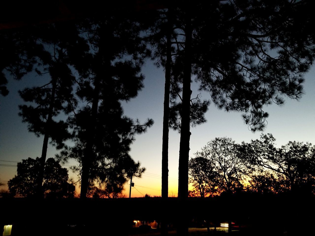 SILHOUETTE TREES AGAINST SKY DURING SUNSET