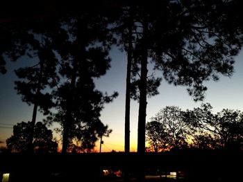 Low angle view of silhouette trees against sky at sunset