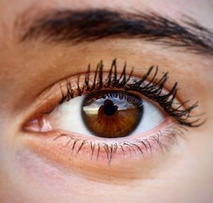 Close-up portrait of human eye