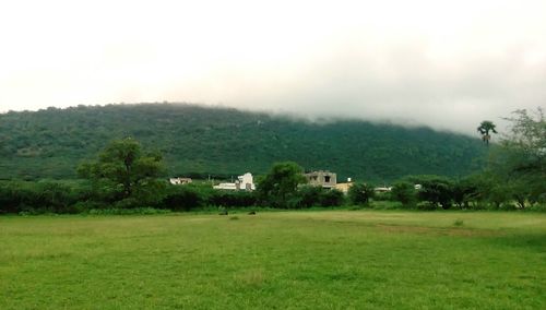 House on grassy field