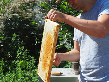 Midsection of man holding insect