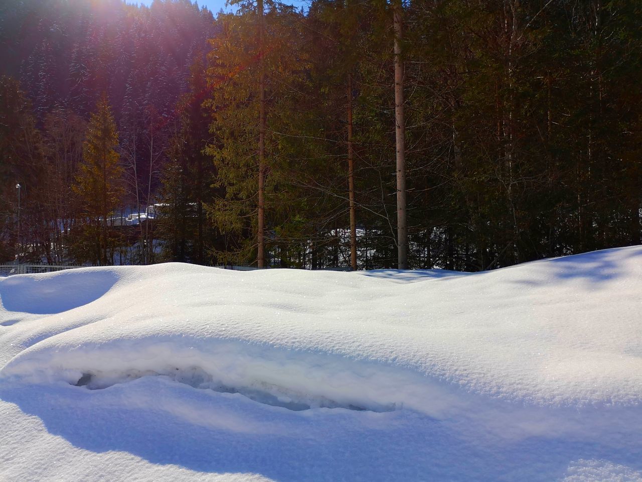 SCENIC VIEW OF SNOW COVERED FIELD