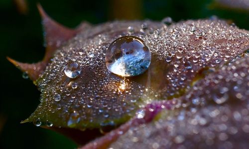 Close up of water