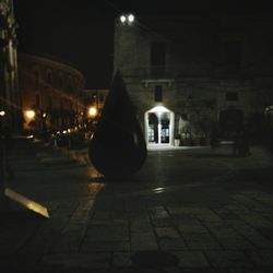 Illuminated street light at night