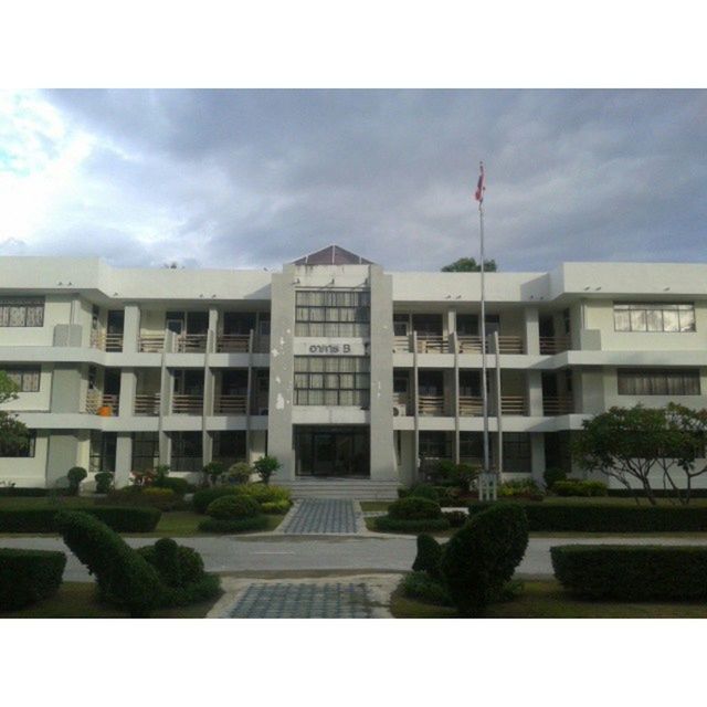 architecture, building exterior, built structure, transfer print, sky, auto post production filter, cloud - sky, city, day, building, cloud, tree, outdoors, facade, plant, lawn, window, house, cloudy, no people