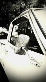 High angle view of car on tree