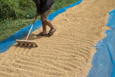 Low section of farmer working at farm