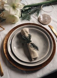 High angle view of potted plant on table