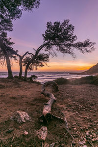 Scenic view of rocks at sunset