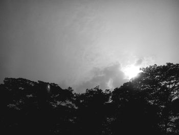 Low angle view of trees against sky