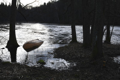 Scenic view of lake in forest