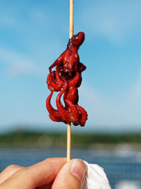 Close-up of hand holding red chili pepper against sky